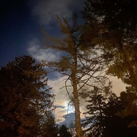 Meet your Posher, Sami - Picture 1 of 1